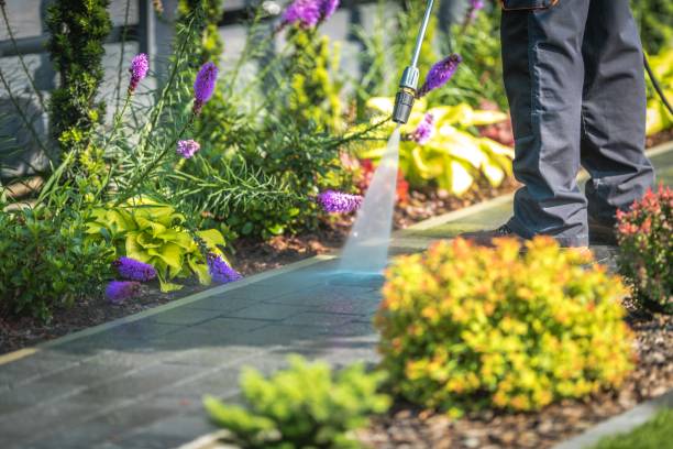 Best Restaurant Pressure Washing  in West, TX